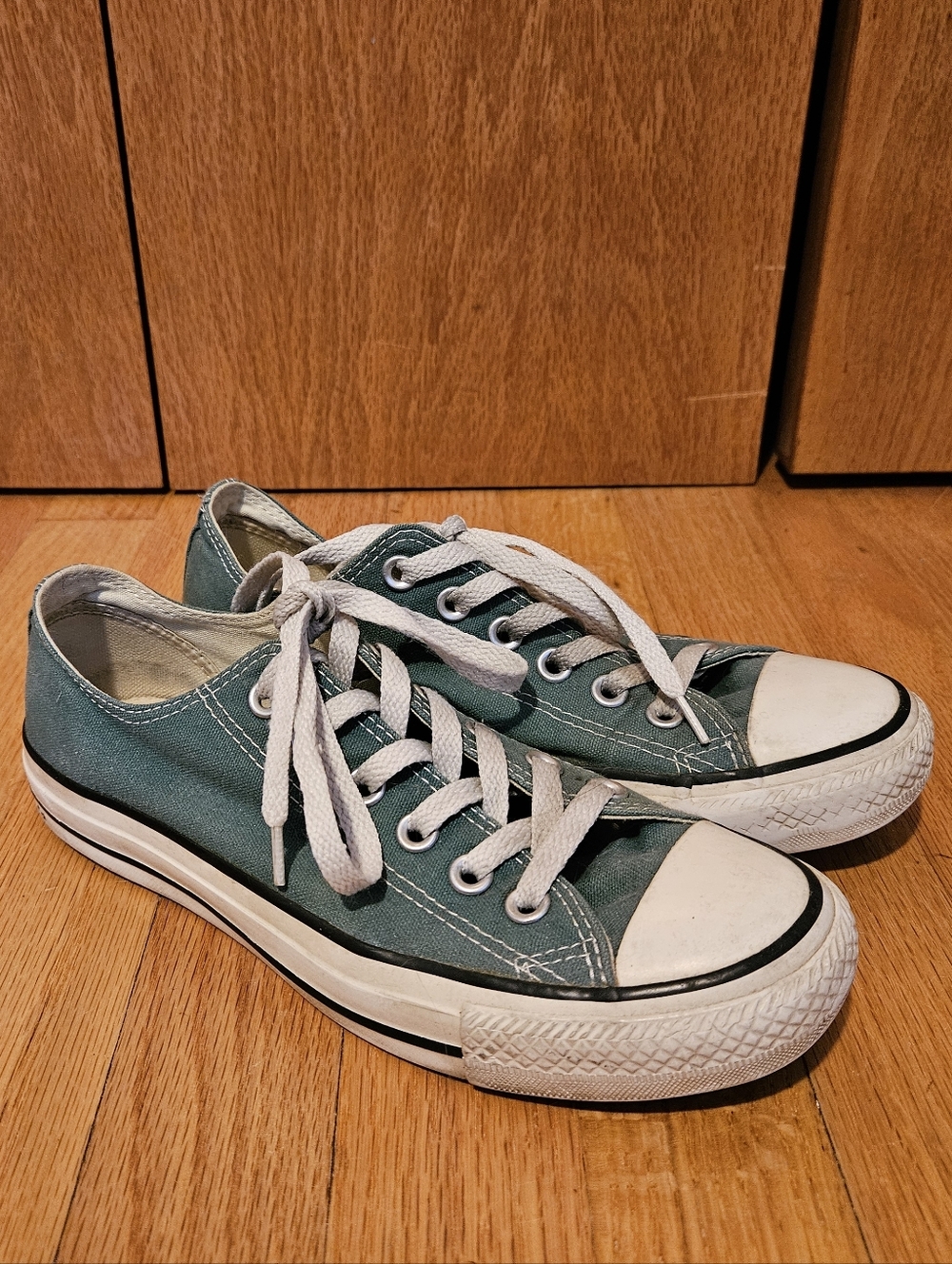 Converse All Star Chuck Taylor Low Top Canvas Sneakers